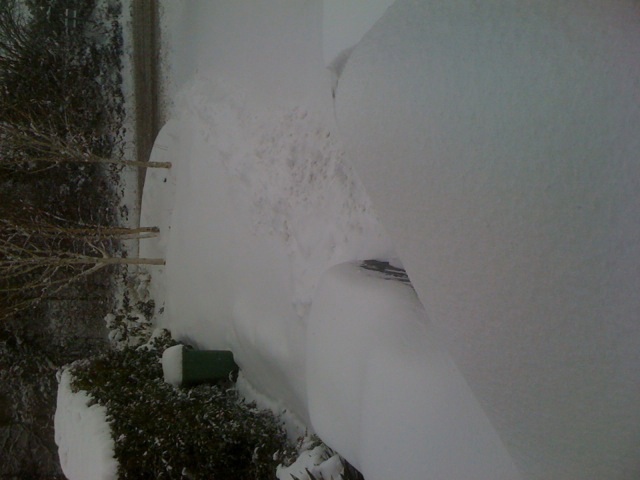 snow