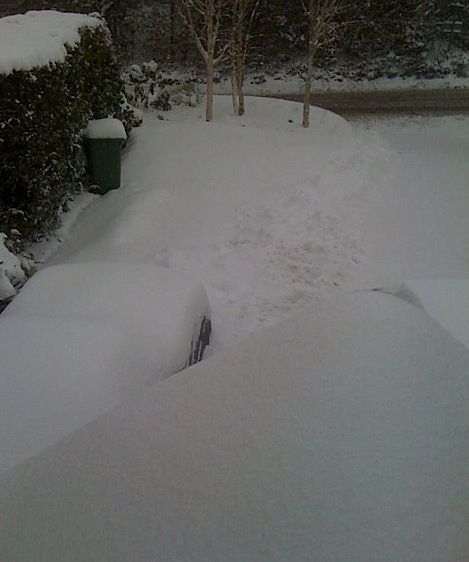 snow 2
