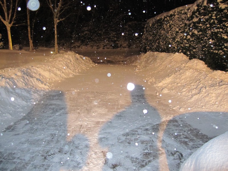 snow 4