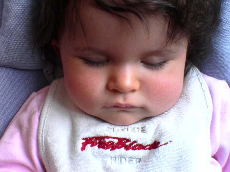 Future Fireblade Rider