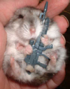 Hamster Av