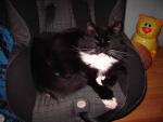 Charley