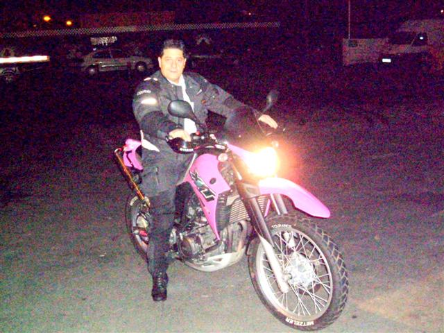 fairy on pink bike fairy on pink bike