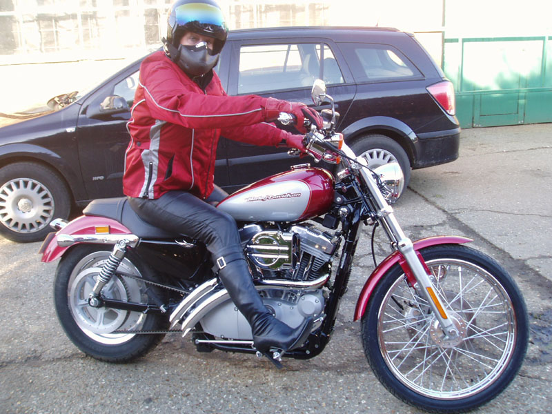 Sportster now