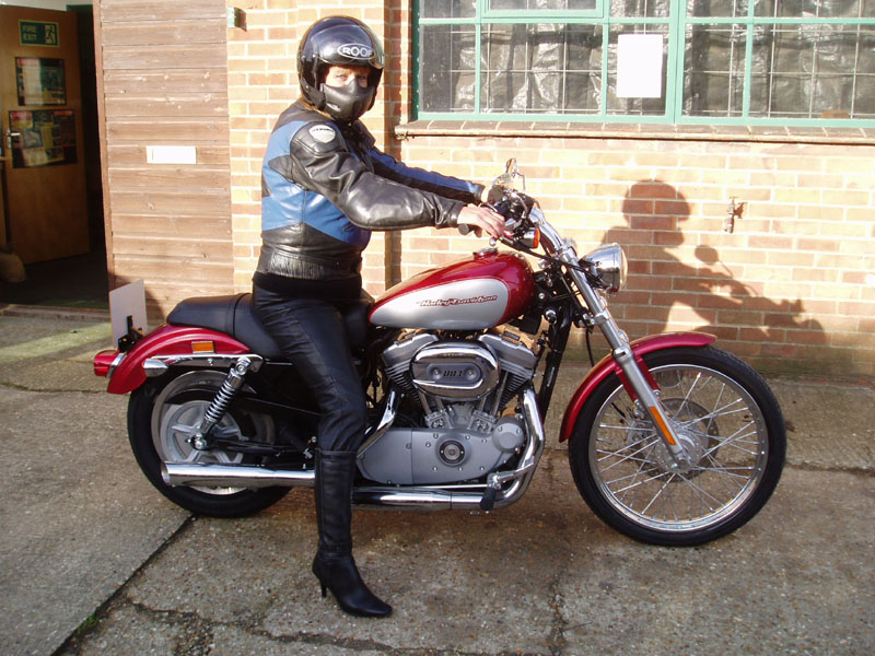 Sportster new