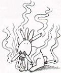 bunnyav