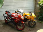 my sv and zx9 my sv and zx9