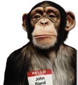 monkey monkey