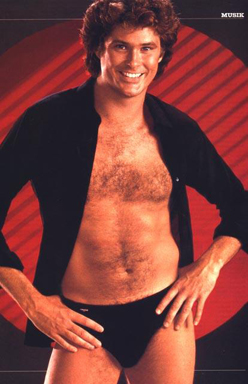 The Hoff