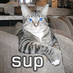 Kittah
