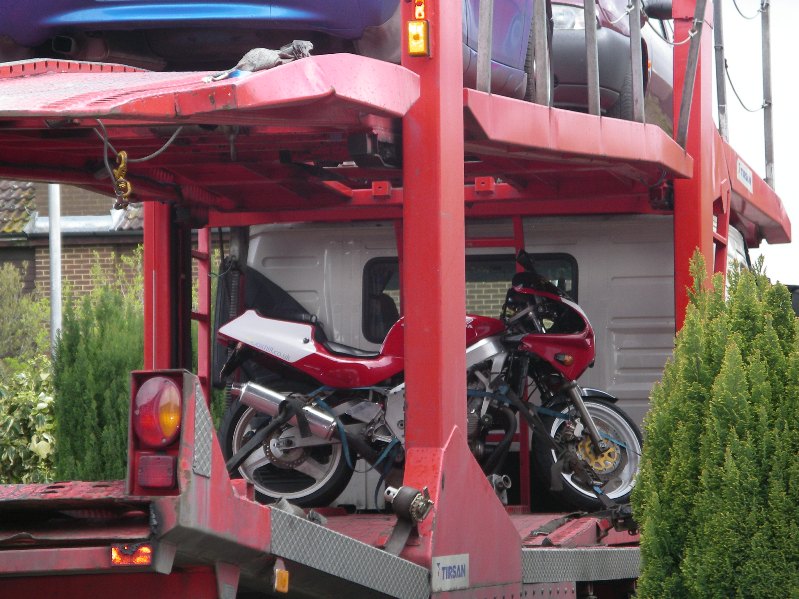 It's Going It's Going