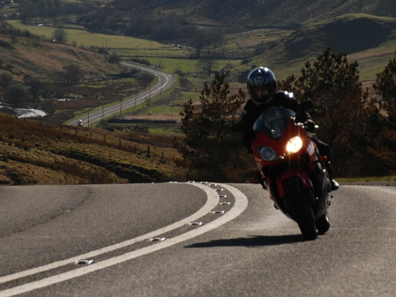 Firecracker enjoying Welsh Road