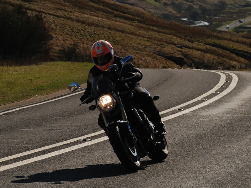 Lil Mush enjoying Welsh Road