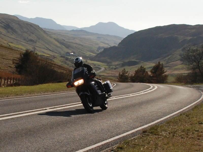 Biggus enjoying Welsh Road