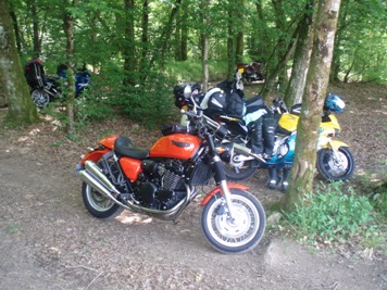 Bikes in the shade Bikes in the shade
