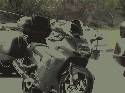 1999 honda blackbird