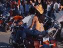 Who'd say no to a ride on that!!!

...oh yeah, and theres a bike in the pic somewhere too..